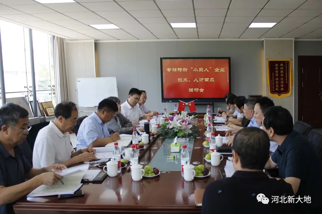 專精特新“小巨人”企業(yè)技術(shù)、人才需求調(diào)研組到河北新大地調(diào)研